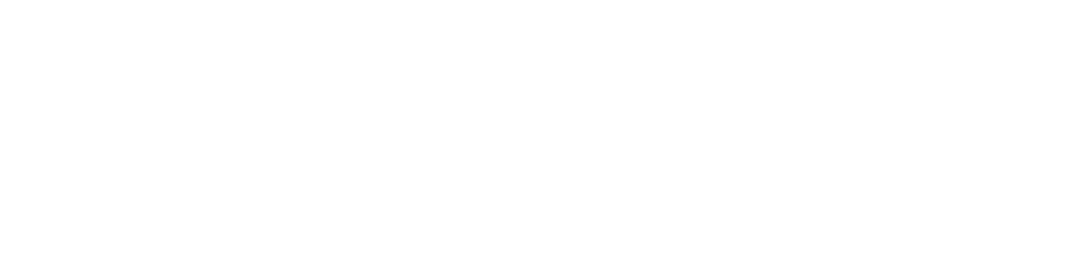 VIPAL